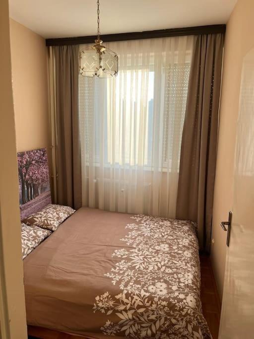 Shesh Hostel Prishtine Bagian luar foto